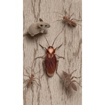 PEST CONTROL - HOUSEHOLD 